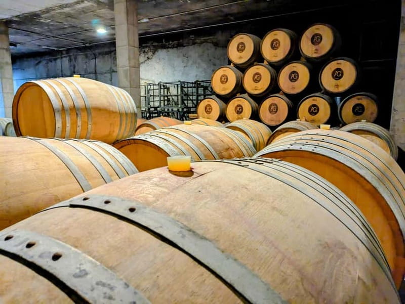 From Palma de Mallorca: Private Wine and Local Flavors Tour - The ride into the Binissalem wine area