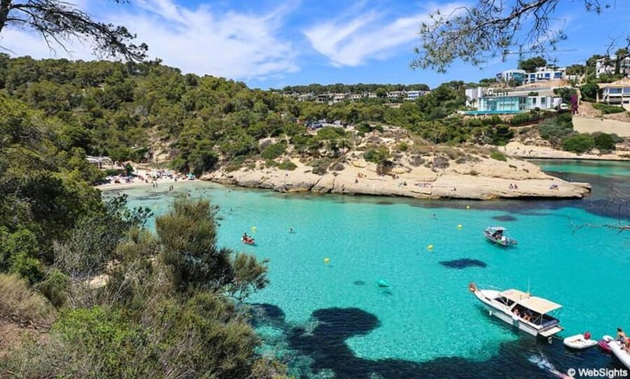 From Palma: Portal Vells Beach and Cave SUP & Snorkel Tour - Quick hits before you go