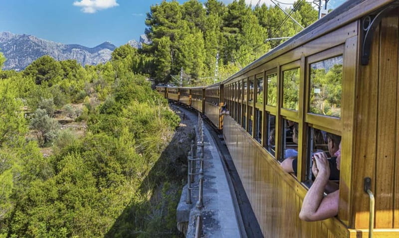 From Palma: Serra Tramuntana and Lluc Monastery Guided Tour - Why four transport modes make this Tramuntana day work