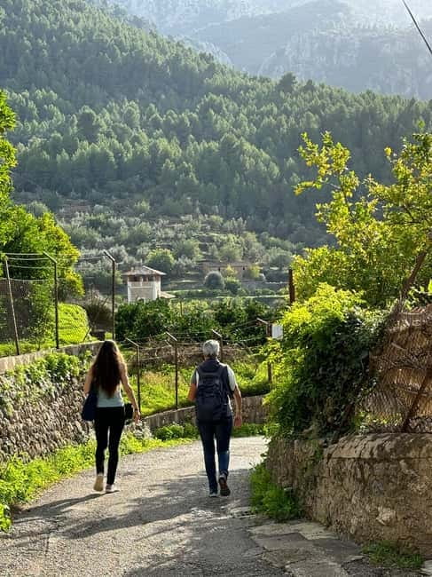 From Palma: Sierra de Tramuntana Hiking with small Picnic - Sierra de Tramuntana and the GR221 dry-stone route in one half-day