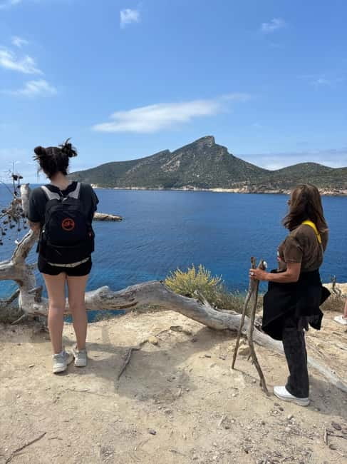 From Palma: Sierra de Tramuntana Hiking with small Picnic - Heritage details you’ll spot on the dry-stone terraces and water systems