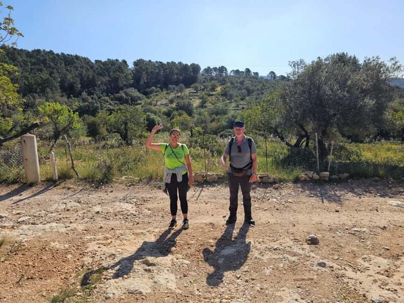 From Palma: Sierra de Tramuntana Hiking with small Picnic - Summer heat, swimming chances, and choosing the right day