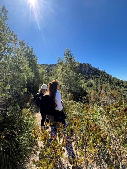 From Palma: Sierra de Tramuntana Hiking with small Picnic - Price and value: does $93 buy you enough?