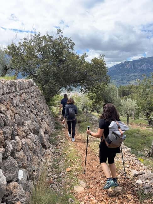From Palma: Sierra de Tramuntana Hiking with small Picnic - Your 4-hour plan: Palma pickup to refugio picnic and back