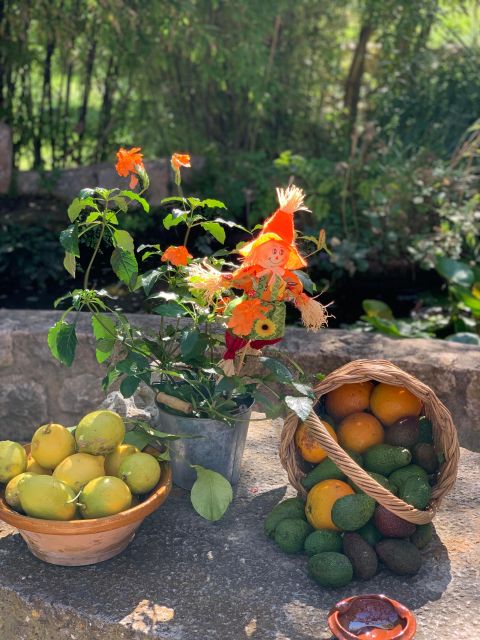 From Palma: Soller valley walk and picnic in orange farm - Who should book this Sóller valley orange farm walk