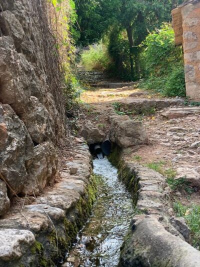 Soller valley walk and picnic in orange farm