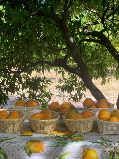 From Palma: Soller valley walk and picnic in orange farm - The picnic-style break: marmalade tasting and fresh juice