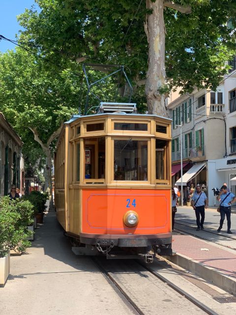 From Palma: Soller valley walk and picnic in orange farm - Price and value: is $105 worth it?