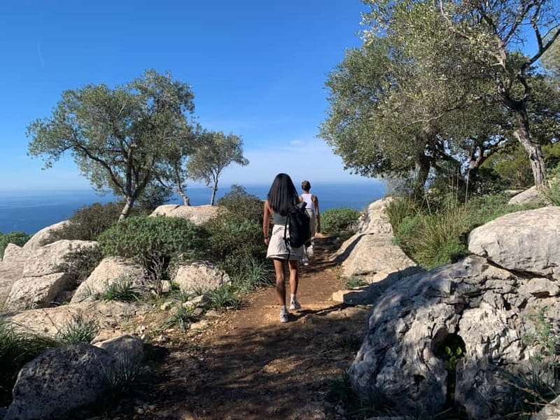 From Palma: Valldemossa Tour and Mountain Viewpoint Hike - Key things you’ll notice on this Valldemossa day