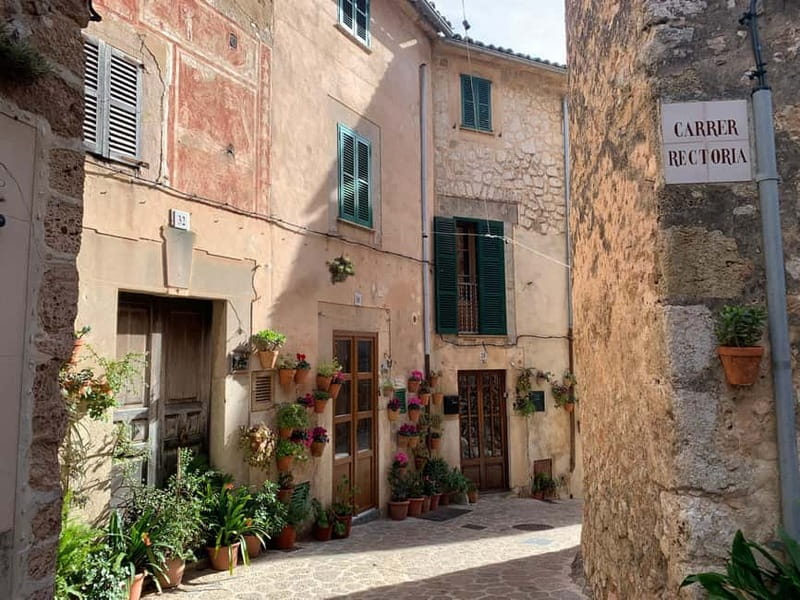 From Palma: Valldemossa Tour and Mountain Viewpoint Hike - Timing, comfort, and what to pack