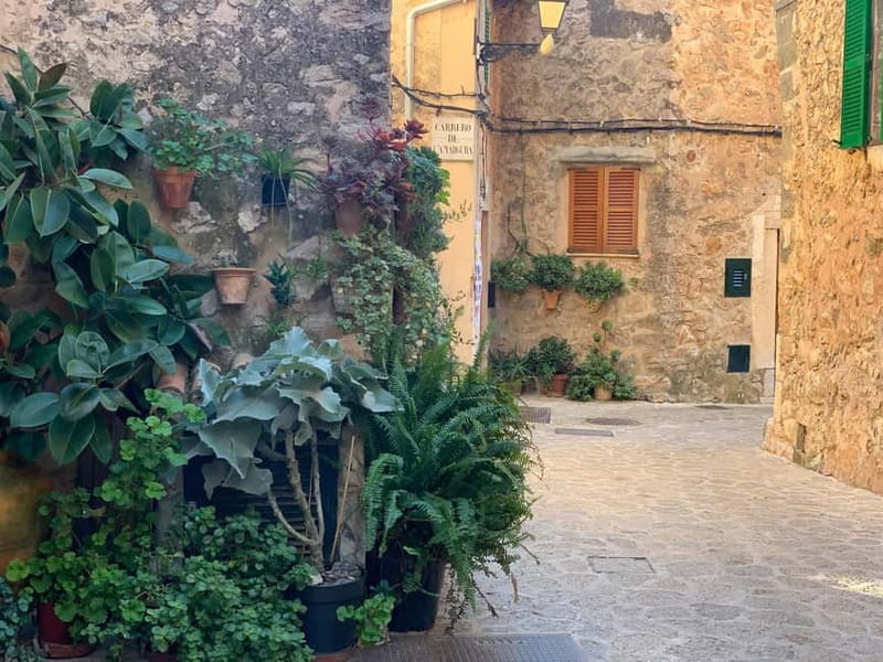 From Palma: Valldemossa Tour and Mountain Viewpoint Hike - Why Valldemossa is worth the mountain time