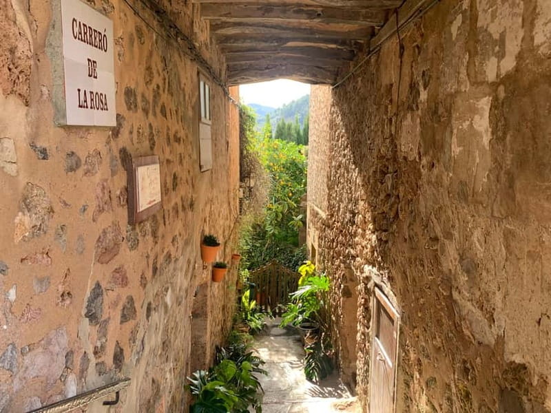 From Palma: Valldemossa Tour and Mountain Viewpoint Hike - Coca de Patata and the local taste that ends the walk