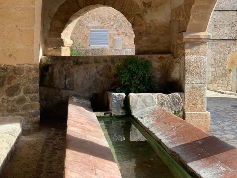 From Palma: Valldemossa Tour and Mountain Viewpoint Hike - What the small group does for your day