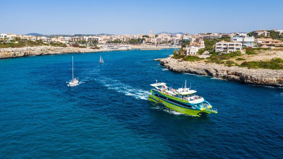 From Porto Cristo: East Coast Glass-Bottom Boat Trip - Glass-bottom boat: what you really see under the windows