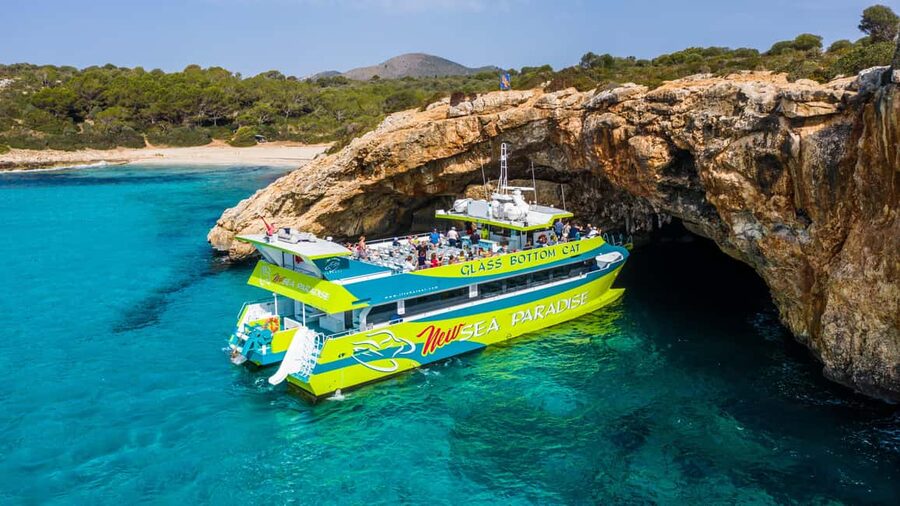 From Sa Coma: East Coast Glass Bottom Boat Trip - Who this boat trip suits best