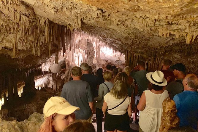 Full-Day Mallorca Caves Tour: Drach, Hams & Pearl Factory Visit - Key highlights that make this tour worth your time