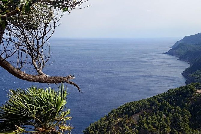 Full-Day Mallorca Caves Tour: Drach, Hams & Pearl Factory Visit - Porto Cristo beach time and lunch planning without stress