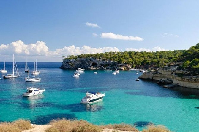 Full-Day Mallorca Caves Tour: Drach, Hams & Pearl Factory Visit - Price, value, and what your $94.91 is buying you