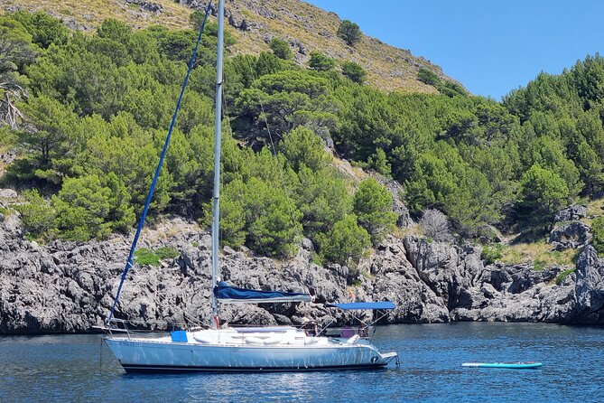 Full-day sailing excursion along the coast - Price and value: what $1,390.78 per group really buys