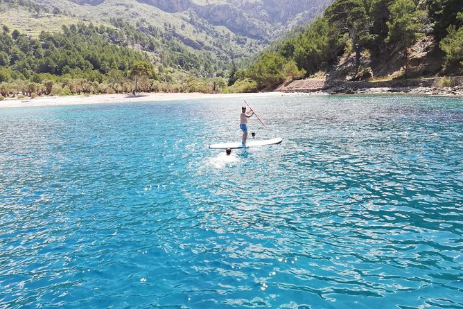 Full-day sailing excursion along the coast - Cala Tuent: swimming time with snorkeling and SUP