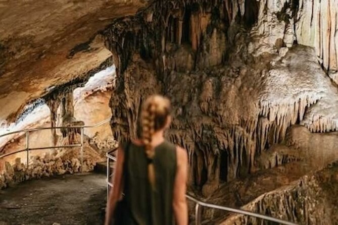 Full-day Tour to Drach Caves and Portocristo Town - Palma Pickup and Timing: The 9:00 AM Start That Can Make or Break Your Day