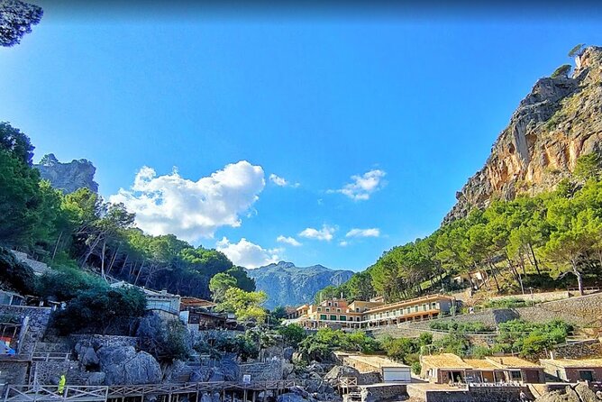Full Day Tour to the Island of Mallorca - Price and value: what you are really paying for
