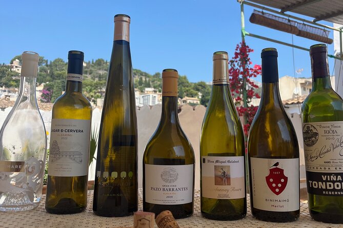 Gastronomic Wine Tasting Experience Guided by a Sommelier - Es 365 Escalons, a quick local anchor before the pour