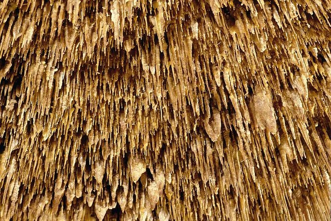 Guided Full-Day Tour of Drach Caves, Porto Cristo & Pearl Factory - Practical Tips to Make the Day Feel Easier
