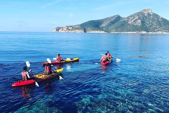 Guided Kayak & Hike from Sant Elm to Sa Dragonera - Key highlights worth your attention