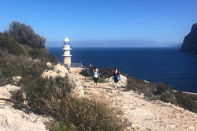 Guided Kayak & Hike from Sant Elm to Sa Dragonera - Sant Elm to Sa Dragonera: the kayak start that sets the tone
