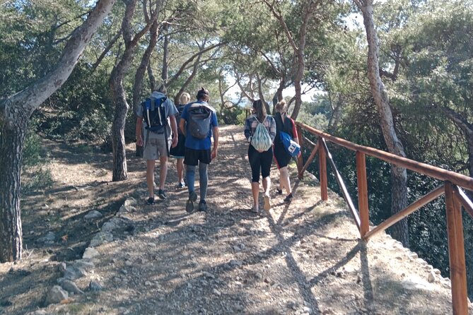 Guided Kayak & Hike from Sant Elm to Sa Dragonera - Return paddle to Sant Elm: keep your eyes on the water
