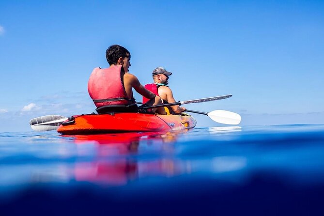 Guided Kayak Tour from Sant Elm to Sa Dragonera - Gear and safety: what’s included, and how it supports first-timers