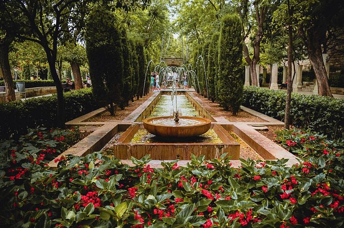 Guided route and visit to the Cathedral of Palma (2h) - Price and logistics: is $36.28 good value?