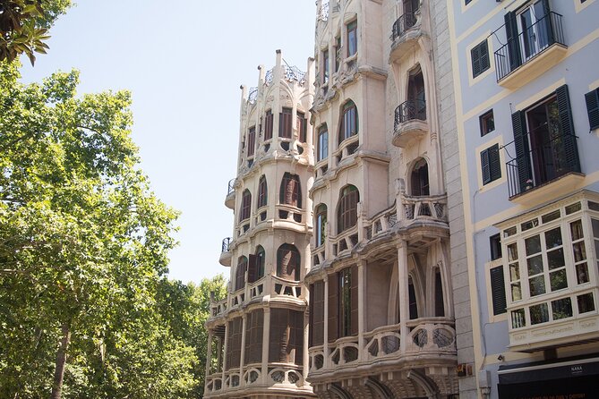 Guided route and visit to the Cathedral of Palma (2h) - Cathedral gardens stop: a quieter transition point