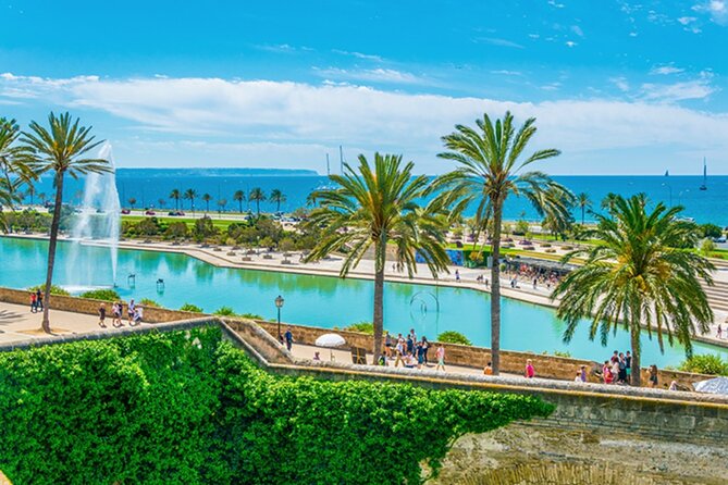 Guided Route through Palma with Cathedral and visit to Valldemossa (4H) - Price and value: does $40.72 make sense for what you get?