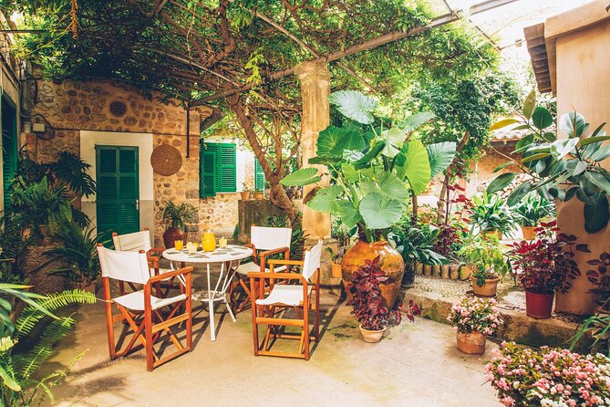 Guided Tasting Tour in 16th century House and Olive Oil Factory - The 400-Year-Old House of Can Det: What Makes the Setting Special