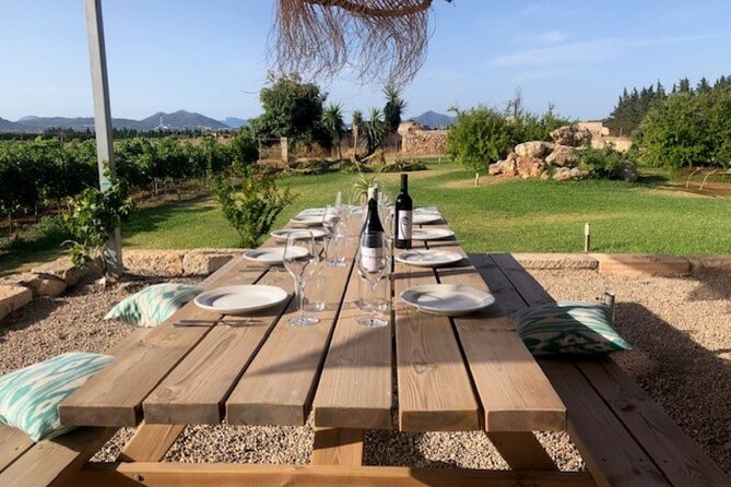 Guided tour of Butxet winery - Key points to know before you go