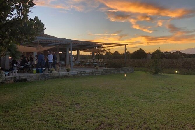 Guided tour of Butxet winery - Price and value: $27.61 for a short, guided Mallorca winery stop