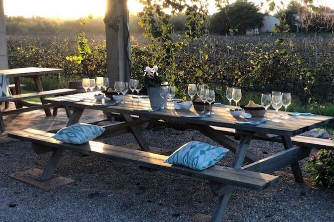 Guided tour of Butxet winery - Group size, English guidance, and practical inclusion details