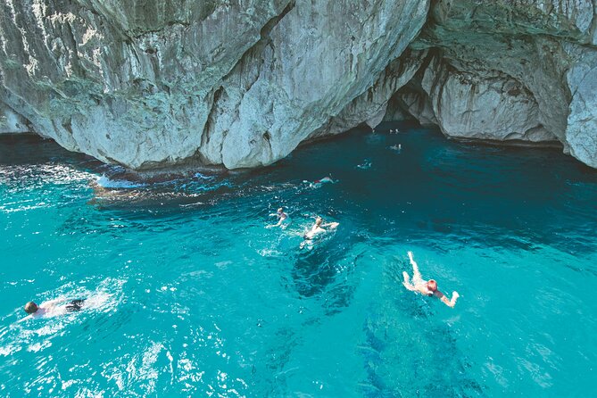 Half Day Boat Trip in the Bay of Alcudia - Dolphins and marine life: what to expect without guarantees