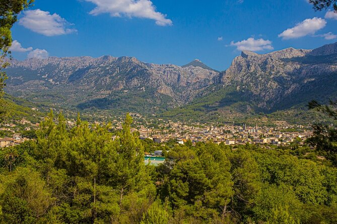 Half Day Guided Tour in Soller Train and Tram - A Half-Day Combo of the Sóller Train and Tram