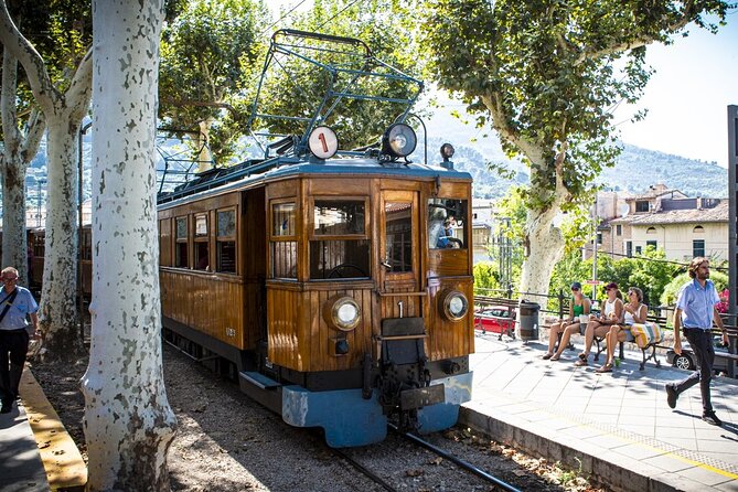 Half Day Guided Tour in Soller Train and Tram - Port de Sóller: Panoramic Views Before You Head Back