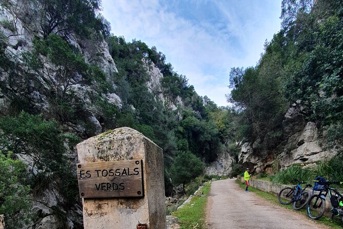 Half-Day Mountain Bike Experience to Serra de Tramuntana, - Key things to know before you go