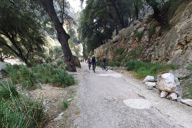 Half-Day Mountain Bike Experience to Serra de Tramuntana, - Riding through almond, carob, and pine forests to the Tramuntana