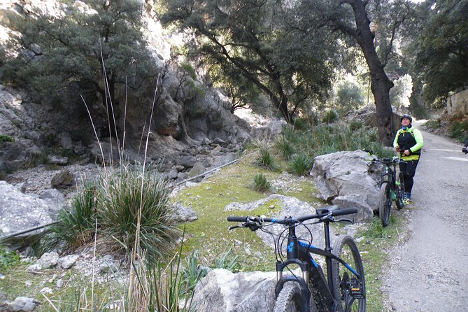 Half-Day Mountain Bike Experience to Serra de Tramuntana, - Serra de Tramuntana segment: where the terrain gets serious