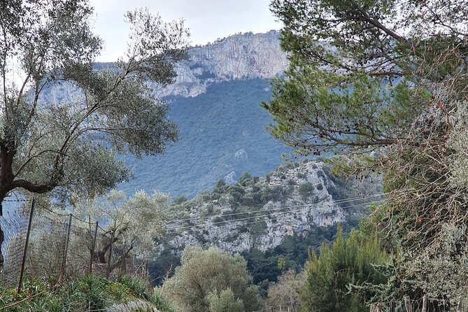 Half-Day Mountain Bike Experience to Serra de Tramuntana, - Bike choice: hard-tail SRAM MTB plus an e-bike option