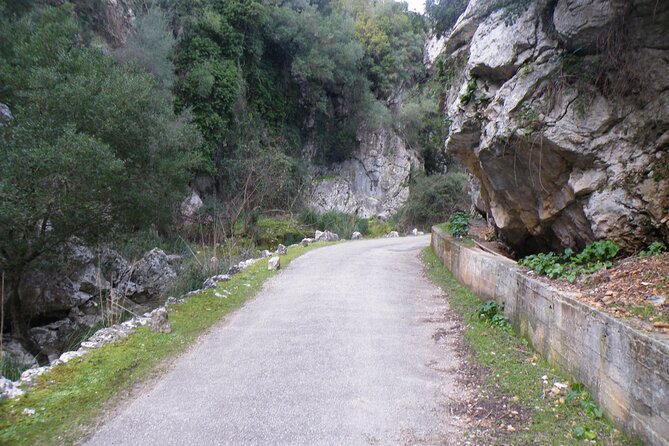 Half-Day Mountain Bike Experience to Serra de Tramuntana, - Price and what you actually get for $78.64