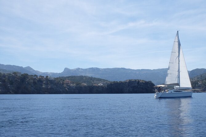 Half day private boat trip in Port de Soller - Key things to know before you go