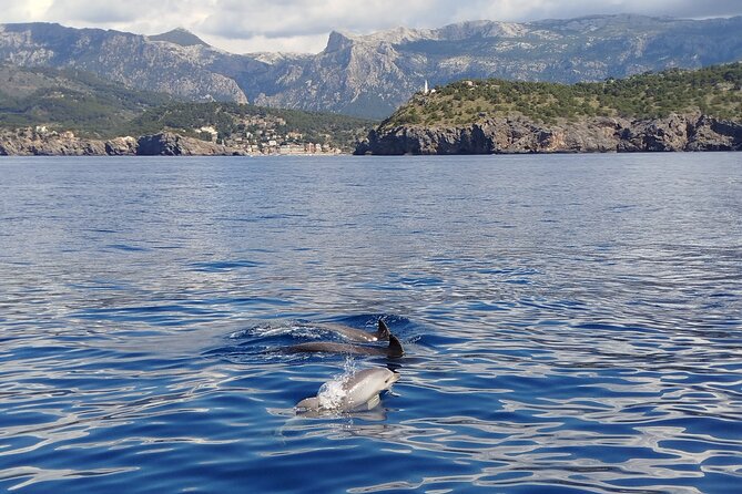 Half day private boat trip in Port de Soller - Why a half-day private cruise from Port de Sóller feels like the sweet spot