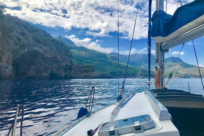 Half Day Sailing Excursion along the Coast - Key highlights at a glance